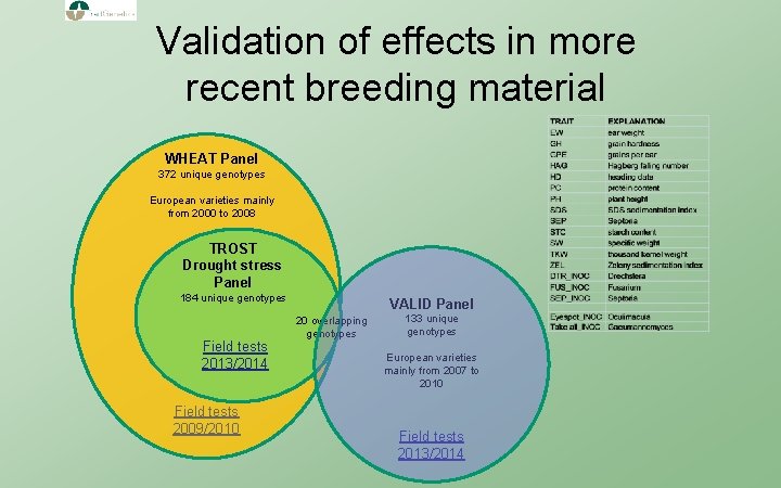 Validation of effects in more recent breeding material WHEAT Panel 372 unique genotypes European