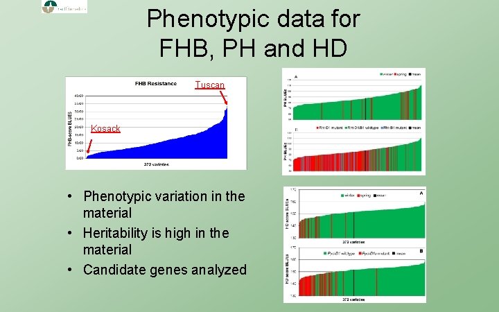 Phenotypic data for FHB, PH and HD Tuscan Kosack • Phenotypic variation in the
