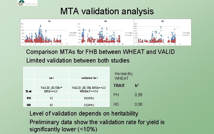 MTA validation analysis Comparison MTAs for FHB between WHEAT and VALID Limited validation between