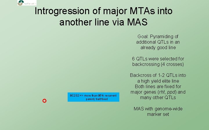 Introgression of major MTAs into another line via MAS Goal: Pyramiding of additional QTLs