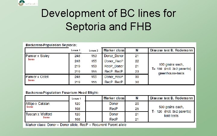 Development of BC lines for Septoria and FHB Locus 1 Donor Locus 2 