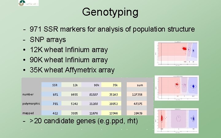 Genotyping - 971 SSR markers for analysis of population structure • • • SNP