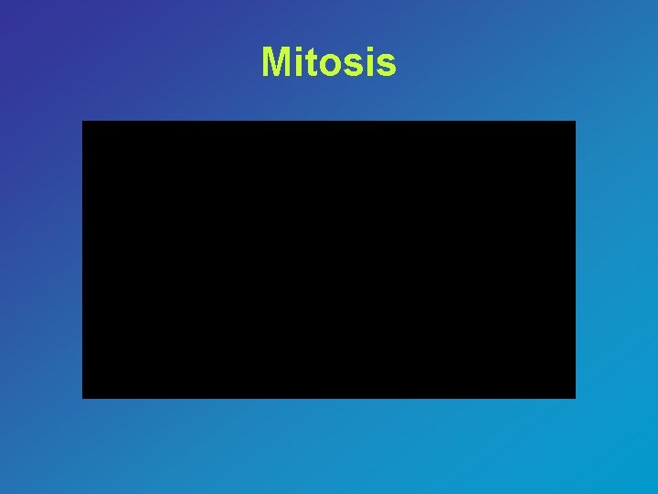 Mitosis 