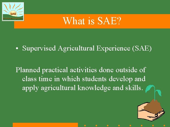 What is SAE? • Supervised Agricultural Experience (SAE) Planned practical activities done outside of What is SAE? • Supervised Agricultural Experience (SAE) Planned practical activities done outside of