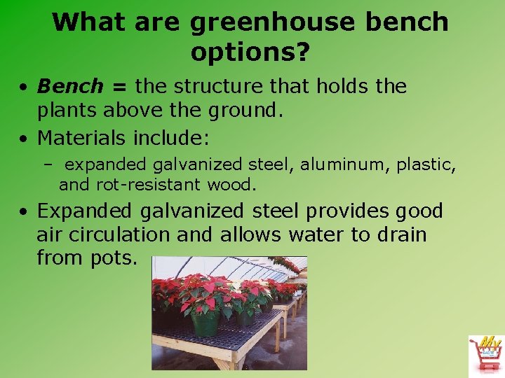 What are greenhouse bench options? • Bench = the structure that holds the plants What are greenhouse bench options? • Bench = the structure that holds the plants