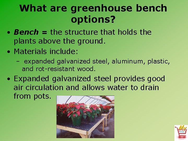 What are greenhouse bench options? • Bench = the structure that holds the plants