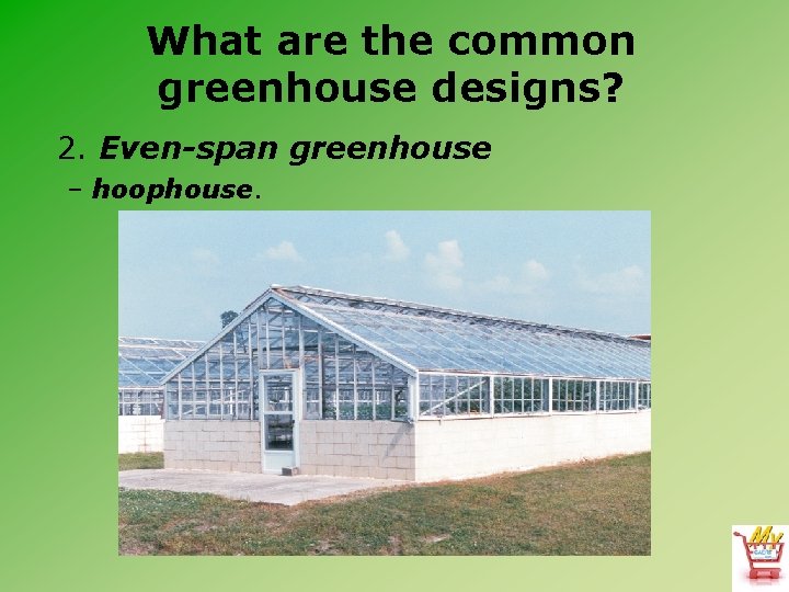 What are the common greenhouse designs? 2. Even-span greenhouse – hoophouse. 