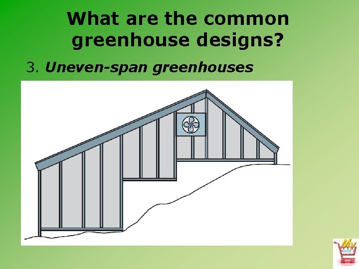 What are the common greenhouse designs? 3. Uneven-span greenhouses 