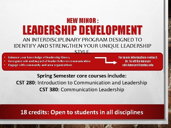 NEW MINOR : LEADERSHIP DEVELOPMENT AN INTERDISCIPLINARY PROGRAM DESIGNED TO IDENTIFY AND STRENGTHEN YOUR