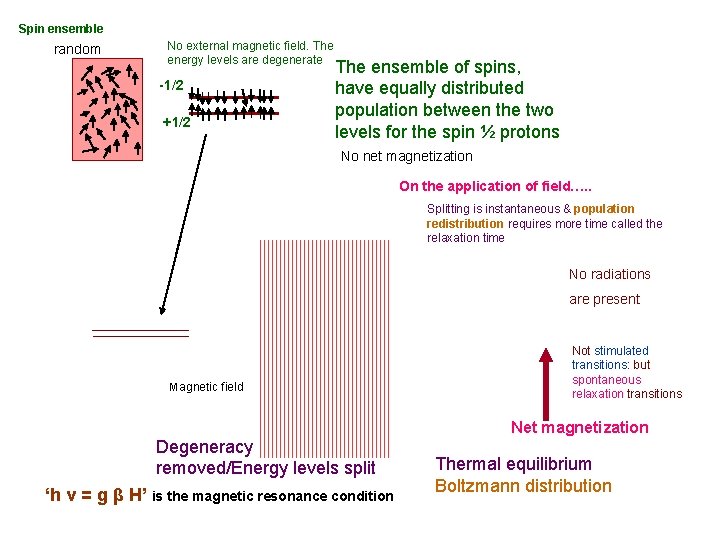 Spin ensemble random No external magnetic field. The energy levels are degenerate -1/2 +1/2