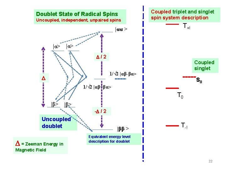 Doublet State of Radical Spins Uncoupled, independent, unpaired spins |αα > |α> Coupled triplet