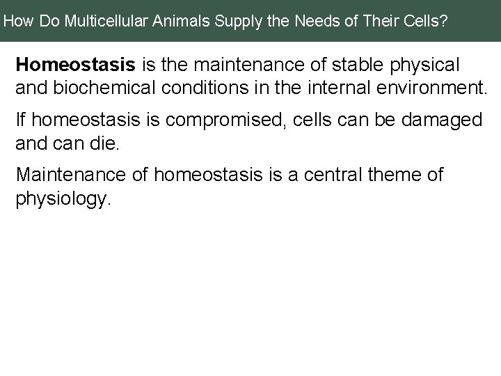 How Do Multicellular Animals Supply the Needs of Their Cells? Homeostasis is the maintenance