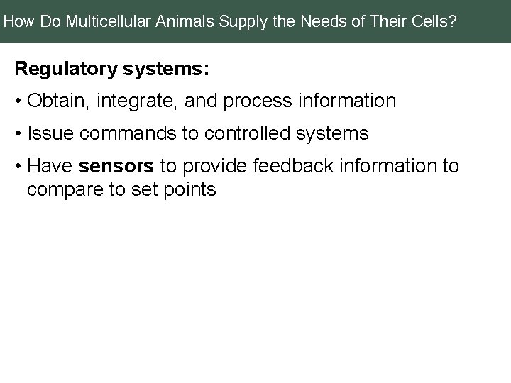 How Do Multicellular Animals Supply the Needs of Their Cells? Regulatory systems: • Obtain,