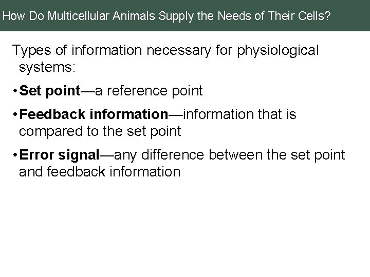 How Do Multicellular Animals Supply the Needs of Their Cells? Types of information necessary
