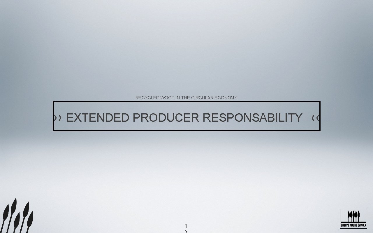 RECYCLED WOOD IN THE CIRCULAR ECONOMY ›› EXTENDED PRODUCER RESPONSABILITY ‹‹ 1 