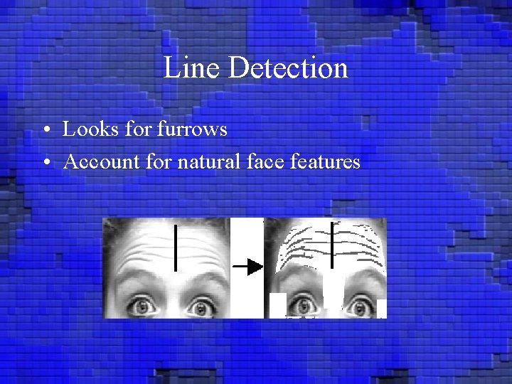 Line Detection • Looks for furrows • Account for natural face features 