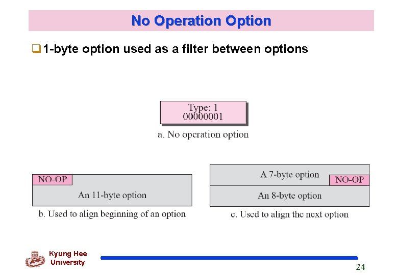 No Operation Option q 1 -byte option used as a filter between options Kyung