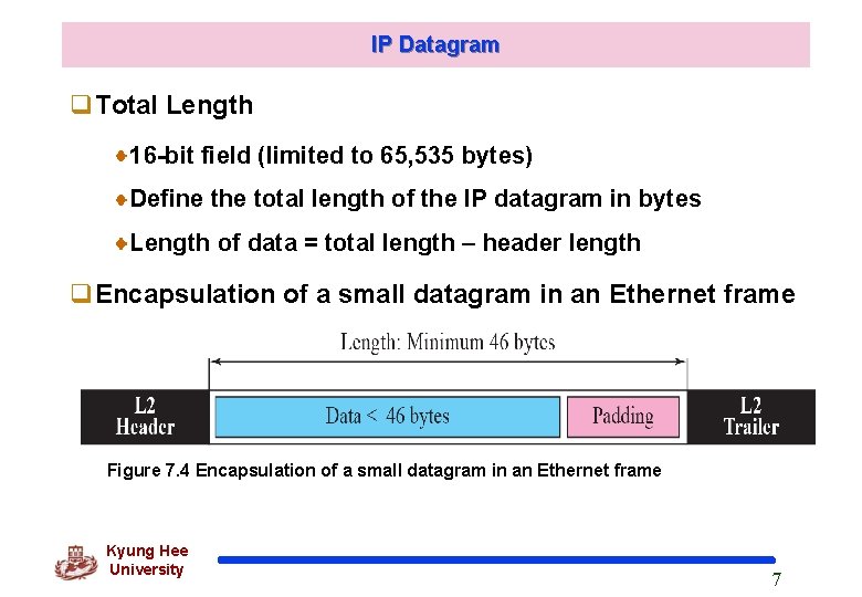 IP Datagram q. Total Length 16 -bit field (limited to 65, 535 bytes) Define