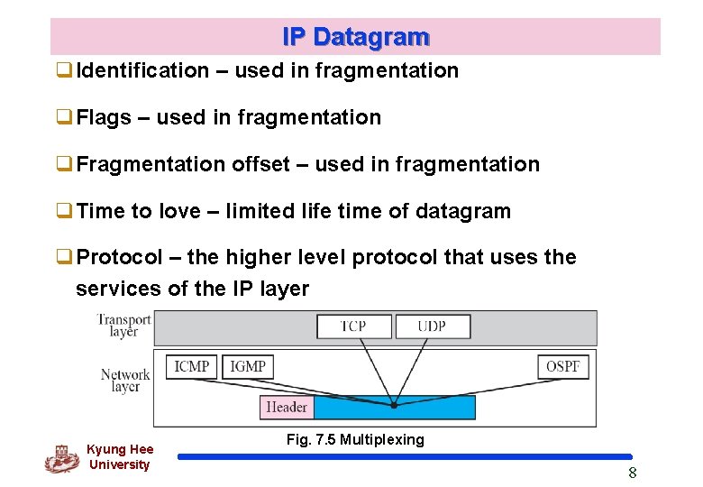 IP Datagram q. Identification – used in fragmentation q. Flags – used in fragmentation