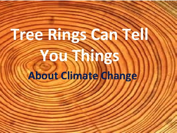 Tree Rings Can Tell You Things About Climate Change 