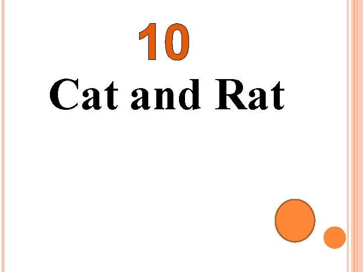 10 Cat and Rat 