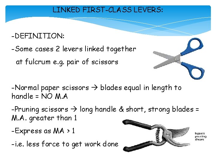 LINKED FIRST-CLASS LEVERS: -DEFINITION: -Some cases 2 levers linked together at fulcrum e. g.