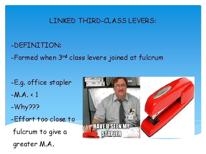LINKED THIRD-CLASS LEVERS: -DEFINITION: -Formed when 3 rd class levers joined at fulcrum -E.