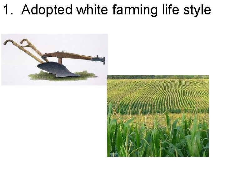 1. Adopted white farming life style 