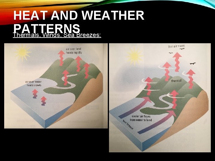 HEAT AND WEATHER PATTERNS Thermals, Winds, Sea Breezes: 