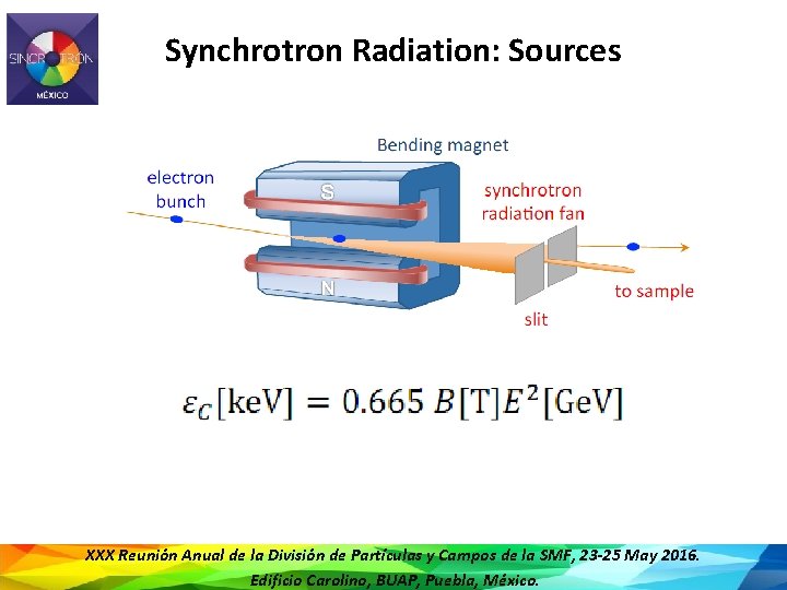 Synchrotron Radiation: Sources XXX Reunión Anual de la División de Partículas y Campos de