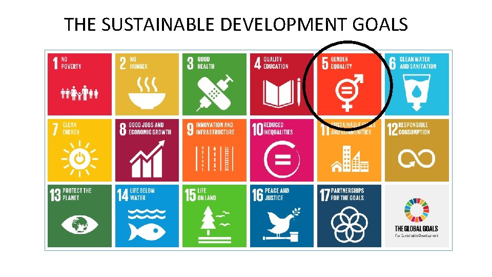  THE SUSTAINABLE DEVELOPMENT GOALS 