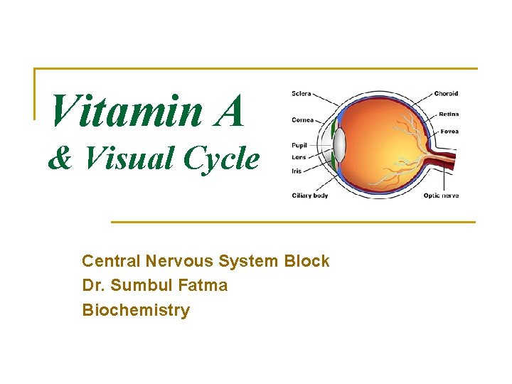 Vitamin A & Visual Cycle Central Nervous System Block Dr. Sumbul Fatma Biochemistry 