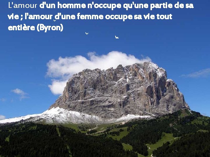 Avancement Automatique Citations Lamour La Raison Nest Pas