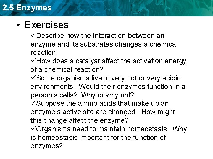 2. 5 Enzymes • Exercises üDescribe how the interaction between an enzyme and its