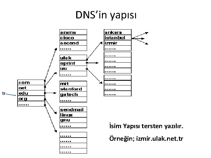 DNS’in yapısı tr İsim Yapısı tersten yazılır. Örneğin; izmir. ulak. net. tr 