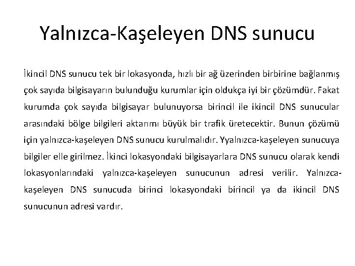 Yalnızca-Kaşeleyen DNS sunucu İkincil DNS sunucu tek bir lokasyonda, hızlı bir ağ üzerinden birbirine