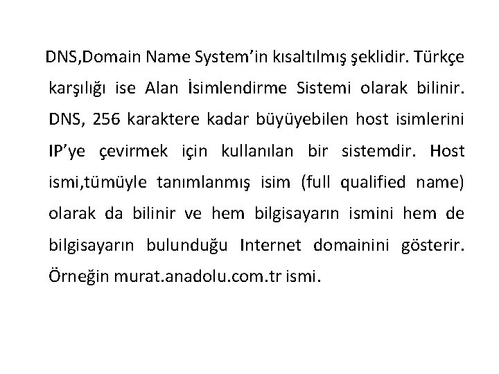 DNS, Domain Name System’in kısaltılmış şeklidir. Türkçe karşılığı ise Alan İsimlendirme Sistemi olarak bilinir.