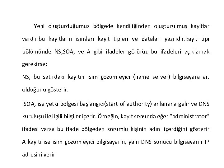 Yeni oluşturduğumuz bölgede kendiliğinden oluşturulmuş kayıtlar vardır. bu kayıtların isimleri kayıt tipleri ve dataları