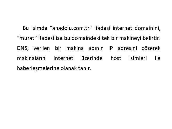 Bu isimde “anadolu. com. tr” ifadesi internet domainini, “murat” ifadesi ise bu domaindeki tek