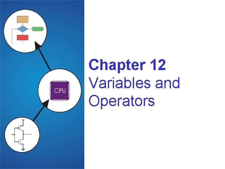 Chapter 12 Variables and Operators 