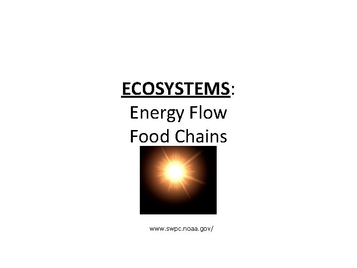 ECOSYSTEMS: Energy Flow Food Chains www. swpc. noaa. gov/ 