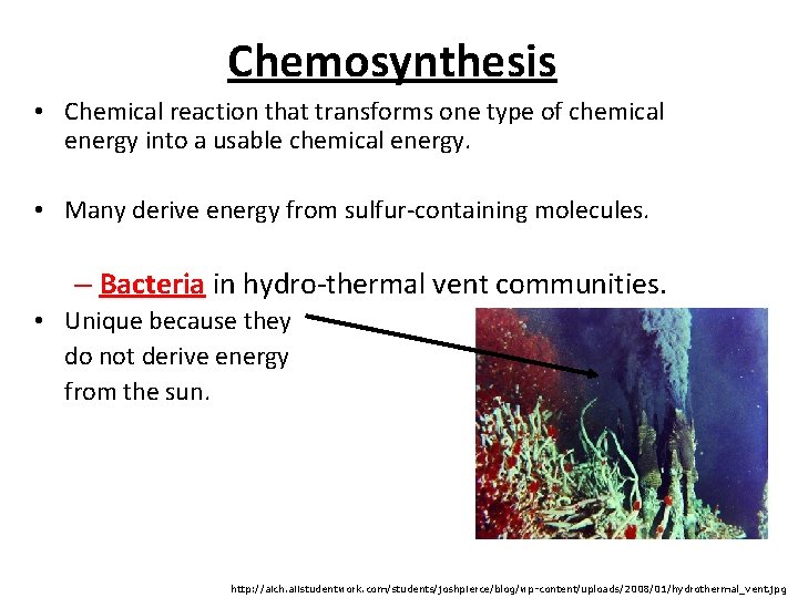 Chemosynthesis • Chemical reaction that transforms one type of chemical energy into a usable