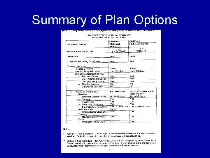 Summary of Plan Options Summary of Plan Options