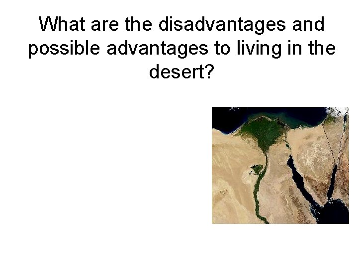 What are the disadvantages and possible advantages to living in the desert? 