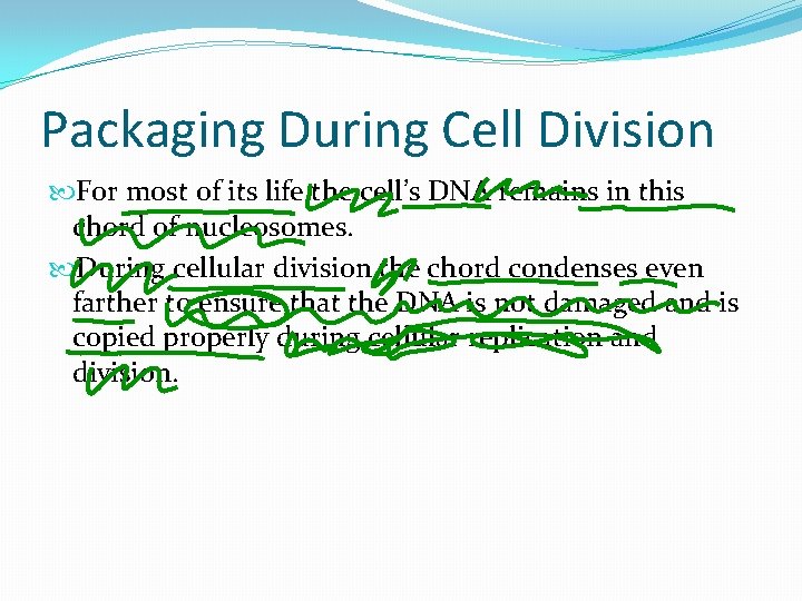 Packaging During Cell Division For most of its life the cell’s DNA remains in Packaging During Cell Division For most of its life the cell’s DNA remains in