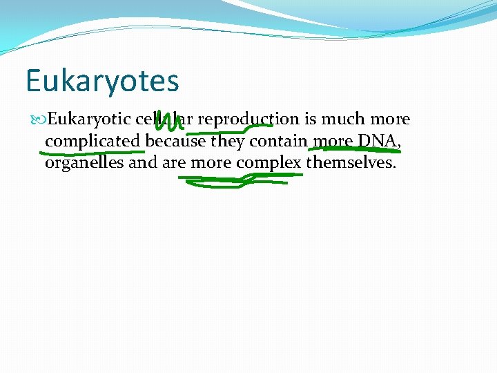 Eukaryotes Eukaryotic cellular reproduction is much more complicated because they contain more DNA, organelles Eukaryotes Eukaryotic cellular reproduction is much more complicated because they contain more DNA, organelles