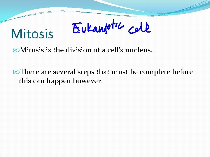 Mitosis is the division of a cell’s nucleus. There are several steps that must Mitosis is the division of a cell’s nucleus. There are several steps that must