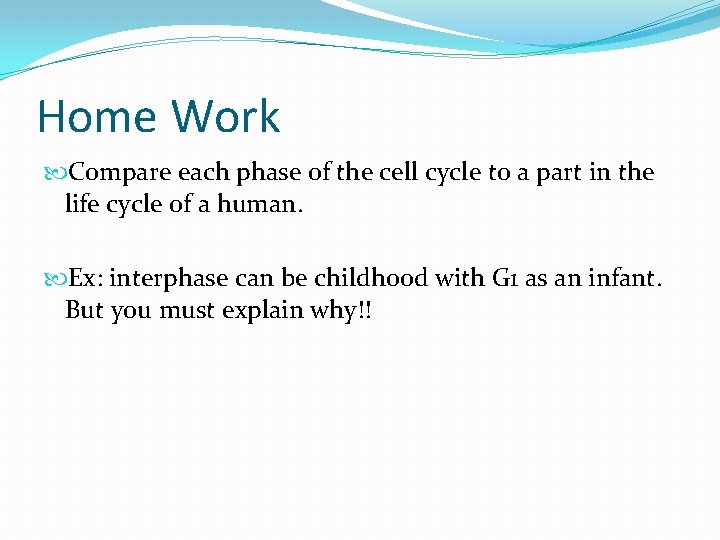 Home Work Compare each phase of the cell cycle to a part in the Home Work Compare each phase of the cell cycle to a part in the