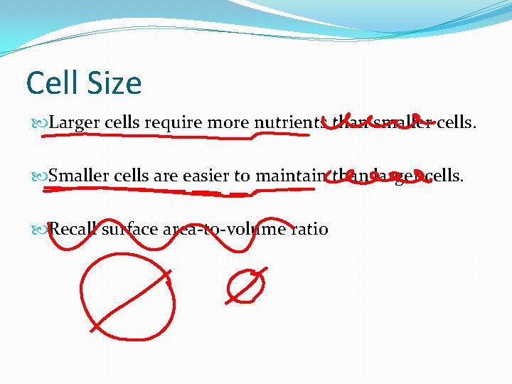 Cell Size Larger cells require more nutrients than smaller cells. Smaller cells are easier Cell Size Larger cells require more nutrients than smaller cells. Smaller cells are easier