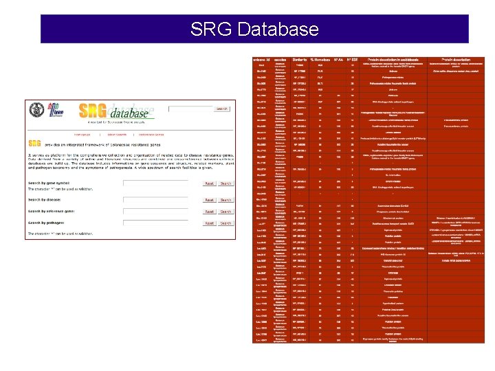 SRG Database 